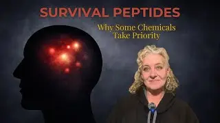 Survival Peptides: Why Some Brain Chemicals Take Priority | Trauma Science (Part 1 Binge-Cut)