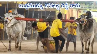 నరసరావుపేట గ్రామం  జూనియర్ 13వ జత
