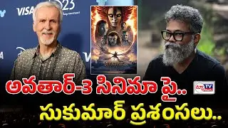 Sukumar comments on Avatar-3 | అవతార్-3 పై డైరెక్టర్  సుకుమార్ ప్రశంసలు..! #newtvtelugu