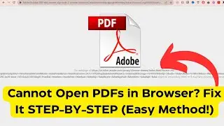 Cannot Open PDFs in Browser? Fix It STEP-BY-STEP (2 Methods)