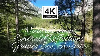 Natural Loops &ndash; Emerald Reflections Gr&uuml;ner See, Austria
