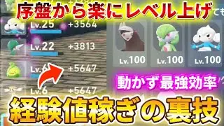 【ポケモンZA】移動なし！序盤からできる最速レベル上げ方法の裏技！【ポケモンレジェンズZA】