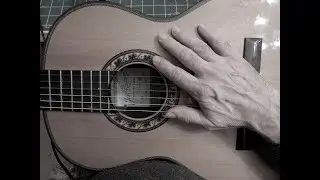 Aranjuez duet