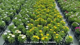 Haars Nursery is thriving with smart tech and a friendly bot