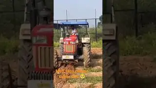 ms dhoni chala rahe hai tractor😍 🥰#short#shorts#trending#msd #msdhoni