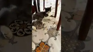 👻