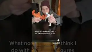 What Everyone Else Who Isn&rsquo;t An Action Figure Collector Thinks What I Do With My Figures
