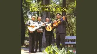 Serenata Tropical
