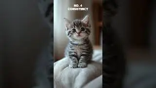 Эмоциональное исцеление #34: 6 секретов успеха (Одобрено котенком!) 🐱✨ #viralshort #successmindset