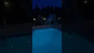 Jack Knife Dive into the Swimming Pool at Night #shorts