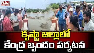 కృష్ణా జిల్లాలో కేంద్ర బృందం పర్యటన || Central Team Visits Krishna District || Raj News Telugu