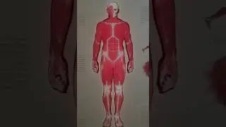 Фулбади: 7 преимуществ
