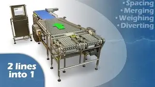 Dual Lane Indexer, Merging Conveyor & Weighing System