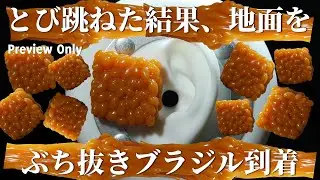 ASMR ゾワゾワでとび跳ねる10種類の音 Intense Triggers for Non-Stop Tingles