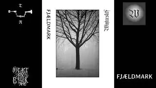 Fjældmark/Wintarslāf (full split, 2019)