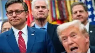 Does Congress support Trump? A tarot reading