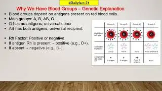 Daily fact- 74| Why We Have Blood Groups &ndash; Genetic Explanation #gkfacts #trending #tuition #science
