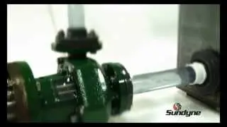 Archimede Milano, Pompe a trascinamento magnetico, ANSIMAG, Sundyne, ANSI, API, API 685
