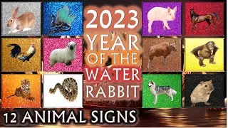 2023 Horoscope | Year of the Rabbit | 12 Animal Signs