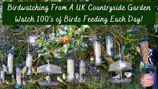 Starlings, Tits, Finches, Robins, Woodpeckers Other Birds: Daily BirdFeeding In UK Garden 130 Cat TV