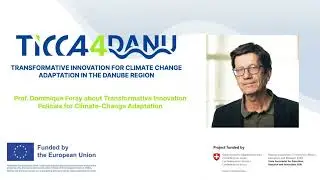 What Is Transformative Innovation Policy? | Insights from Prof. Dominique Foray (EPFL) | TiCCA4DANU
