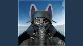 AVIATORS