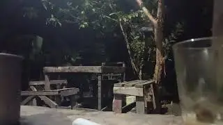 Album Rayola || DARAH TARASO BAKU - MULANG SAYANG - Lagu Minang Terbaru 2025 - Viral Tiktok
