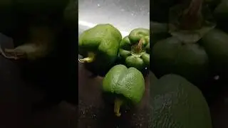 #Capsicum🫑#spring onion#mutter curry # trending#food feed #ytshorts #viral video