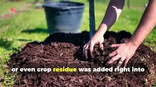 The Indigenous Water Trap That Keeps Gardens Alive During Drought