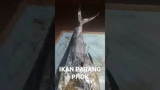 IKAN LADANG, BLETONG