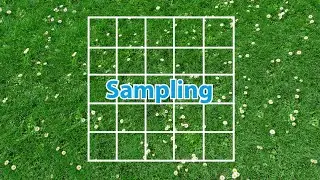 AQA Dual & Triple GCSE Biology Revision - Sampling & Quadrats Knowledge Organiser