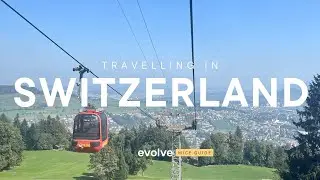Discover Switzerland's seamless travel experience: trains, llamas and more!