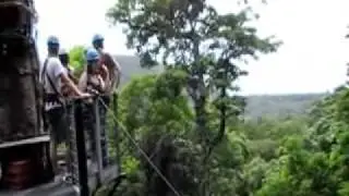 Jungle Surfing