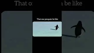 That damn penguin 🥹 #fyp #penguin #mrlonely #depressed #explorepage✨