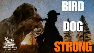 Why Florida Might Be the BEST Bird Hunting in America | Bird Dog Strong