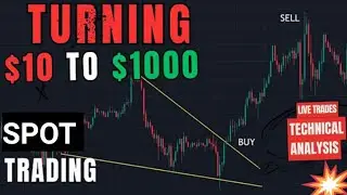 The easiest way to turn $10 to $1000 in crypto trading 