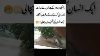 Tree Accident#Rescue1122 #LifeSaved #BraveHearts #EmergencyResponse #HeroesInAction #HumanityFirst
