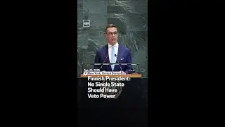 Finnish President:  No Single State  Should Have Veto Power