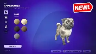 NEW Fortnite Sidekicks Showcase - Bonesy & Doggo Jr. Customizations