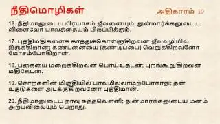 Proverbs Chapter 10 I Tamil Audio Bible