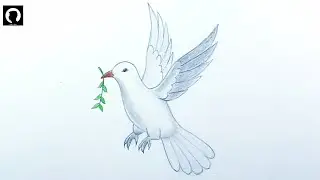How to Draw a Dove 🕊️ of Peace with Olive Branch Step by Step (Pencil Sketch & Coloring)