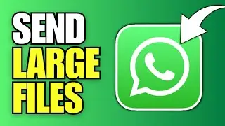 Как отправлять большие файлы в WhatsApp (ПК и ноутбук)