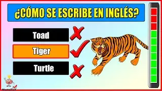 Test de nombres de ANIMALES en INGLÉS | Los ANIMALES | Test de inglés | MentalTest