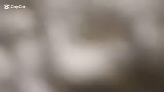 قراءة من سورة يونس ابو نادية الزامل 
