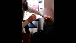 Vid&eacute;os Bar &agrave; Chats Paris Bastille 1