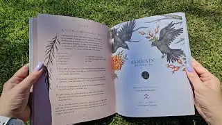 The Wheel of the Year &ndash; Book Review & Flip-Through | Rebecca Beattie | Nature&rsquo;s Sacred Cycles