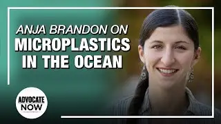 Anja Brandon on Protecting the Oceans