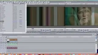 Final Cut Express Effect #16 (MileySnuggle Effect)