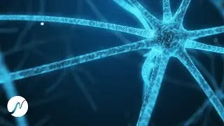 Intelligence Enhancement & Deep Focus (intense!) - Frequencies Beta Waves (22 Hz)
