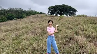 Bora subir  as trilhas  para a árvore 🌳  Gradona
